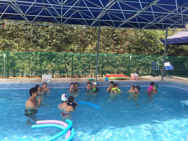 Nada Más Jugando - Escuela de Natación | Clases de natación para niños y adultos | Periódico del Sur | Medellín - Antioquia